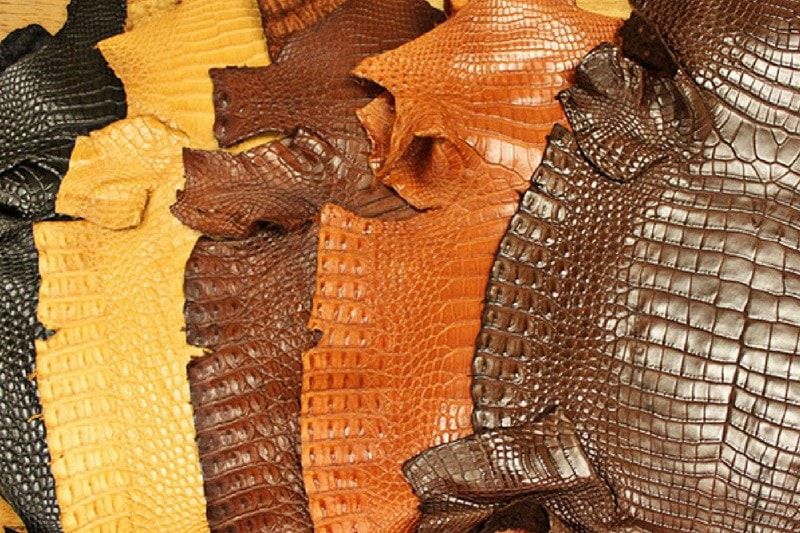 Da cá sấu có lớp vân lộ rõ hơn các loại da khác