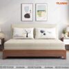 Giường sofa cao cấp - NS168